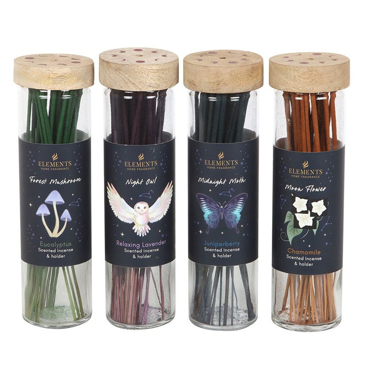 Set of 20 Midnight Forest Incense Sticks in Display