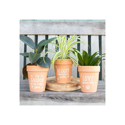 Bloom Where You Are Planted Terracotta Plant Pot
