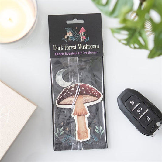 6 Packs of Ocean Drive Earth Incense by Satya