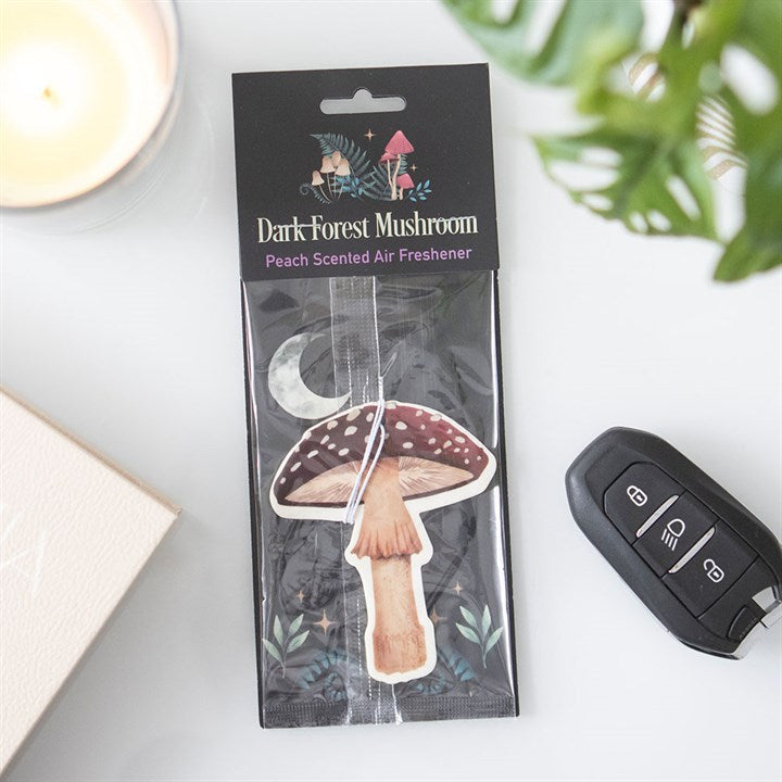 6 Packs of Ocean Drive Earth Incense by Satya