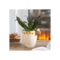 Autumn Plant Pot with Hedgehog