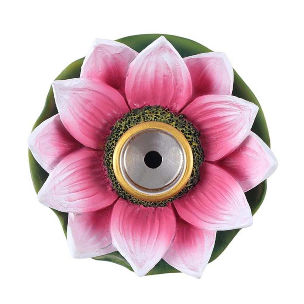 Coloured Lotus Backflow Incense Burner